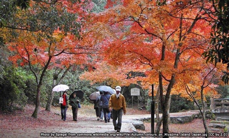 7 Steps to Plan an Amazing Trip to Japan