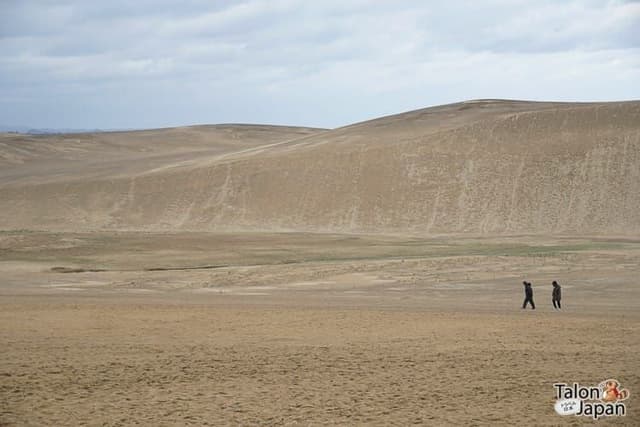 12 Must-Visit Spots in Tottori: Amazing Art and Nature