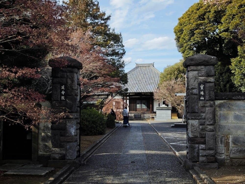 Yanaka Ginza Review: What Part of Tokyo Is It, and Why Go
