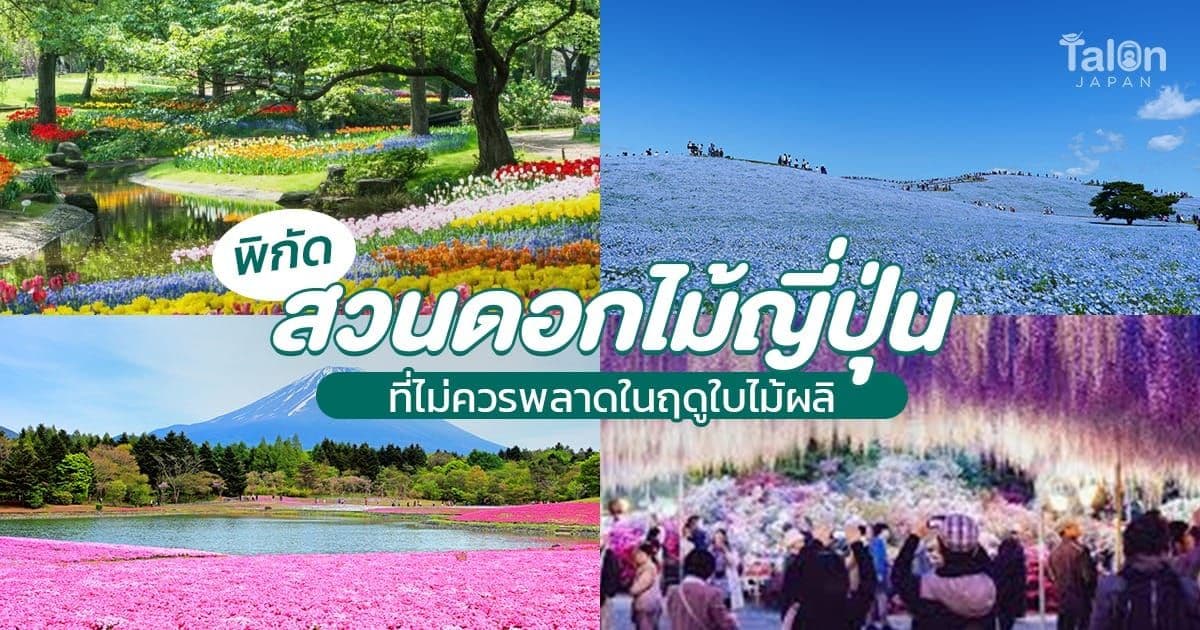 Japan Flower Gardens You Shouldn't Miss This Spring