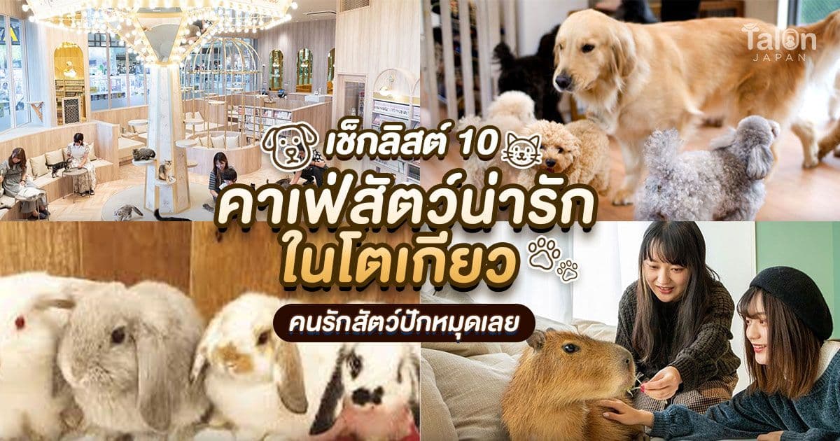 คาเฟ่สัตว์ โตเกียว