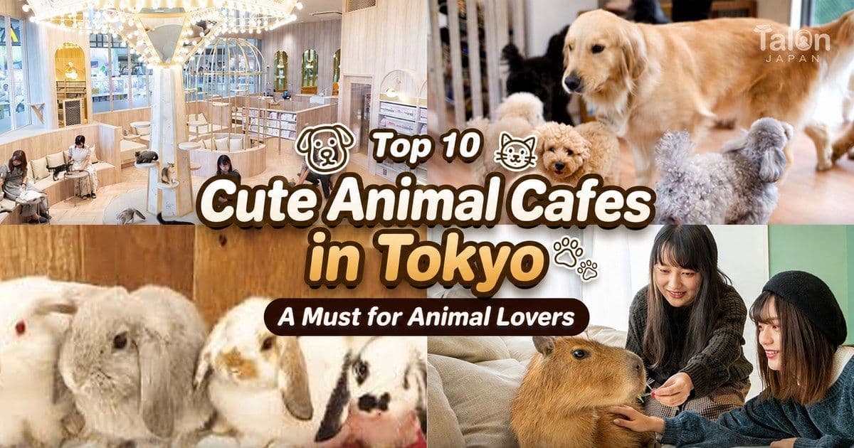 10 Cute Animal Cafes in Tokyo: A Checklist for Animal Lovers