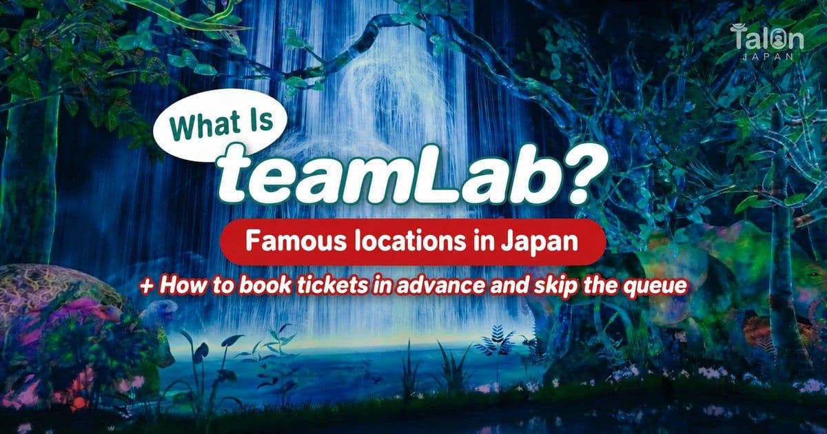 What Is teamLab? Famous Locations in Japan Plus How to Book Tickets in Advance Without Queuing