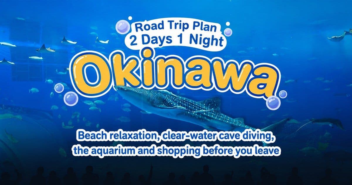 2-Day 1-Night Okinawa Road Trip: Beach Relaxation, Clear-Water Cave Diving, the Aquarium, and Shopping Before You Leave