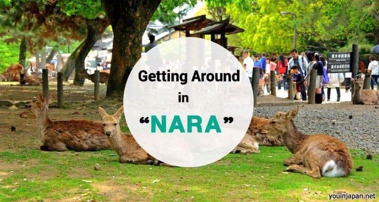 Nara Transportation