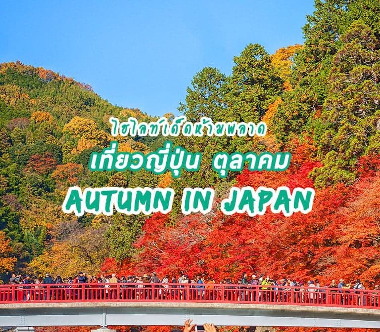 Traveling Japan in October: Must-See Highlights and Great Spots for Kids