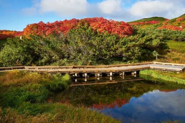 15 Beautiful Autumn Leaves Spots in Hokkaido