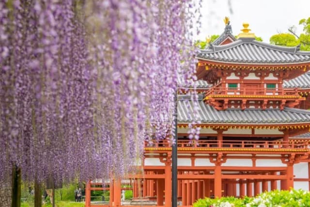 Byodoin Temple