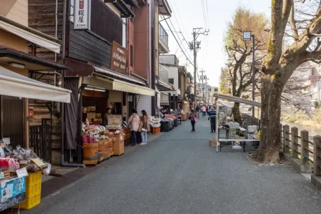 Miyagawa Morning Market