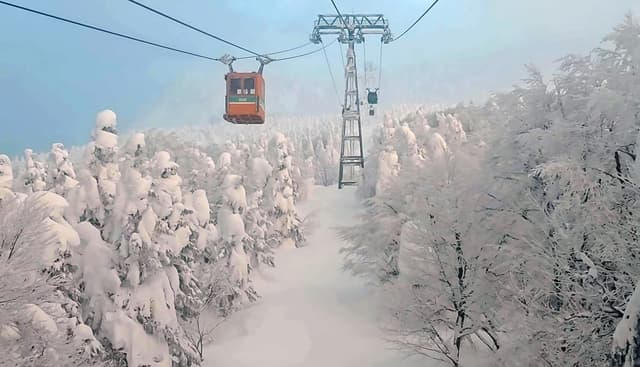 Zao Ropeway Travel Guide: A Special Experience in Japan
