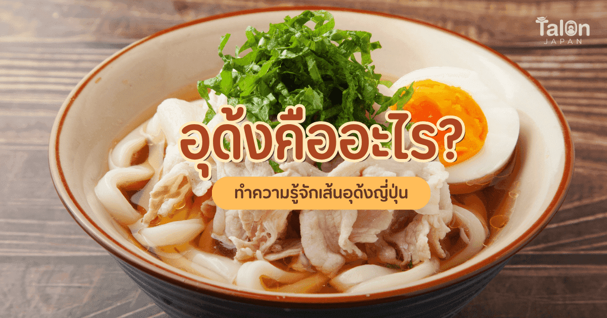 What Is Udon? Getting to Know Japanese Udon Noodles