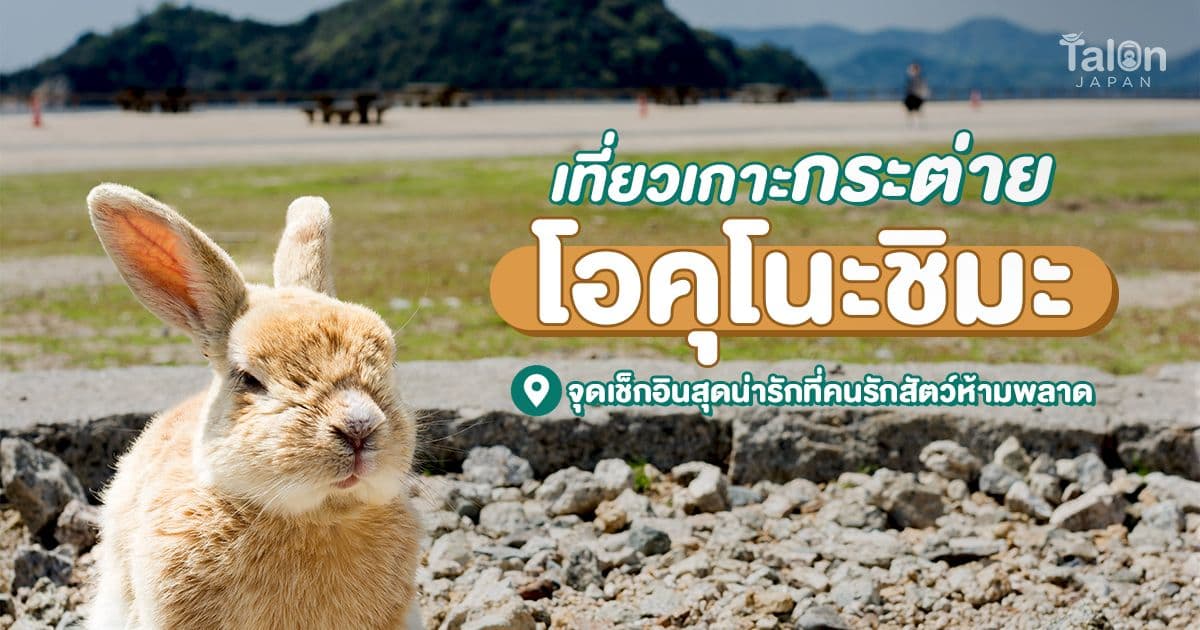 Rabbit Island Okunoshima, Hiroshima: A Day Trip