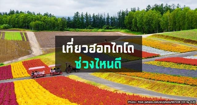 Best Time to Visit Hokkaido: Weather and Temperature Guide