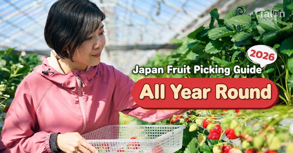 Japan Fruit Picking Guide: Strawberries, Grapes, Peaches, Apples All Year Round